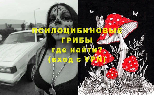 дурь Иннополис