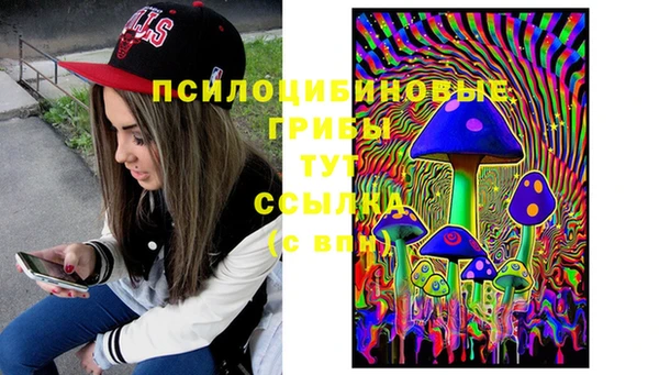 герыч Инсар