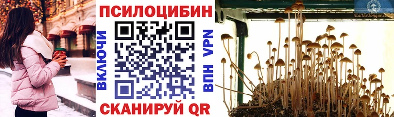 Псилоцибиновые грибы Psilocybe  Купить  Заволжск 